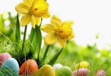 Bild von Kurze Ostersprüche Lustig bilder fürs handy