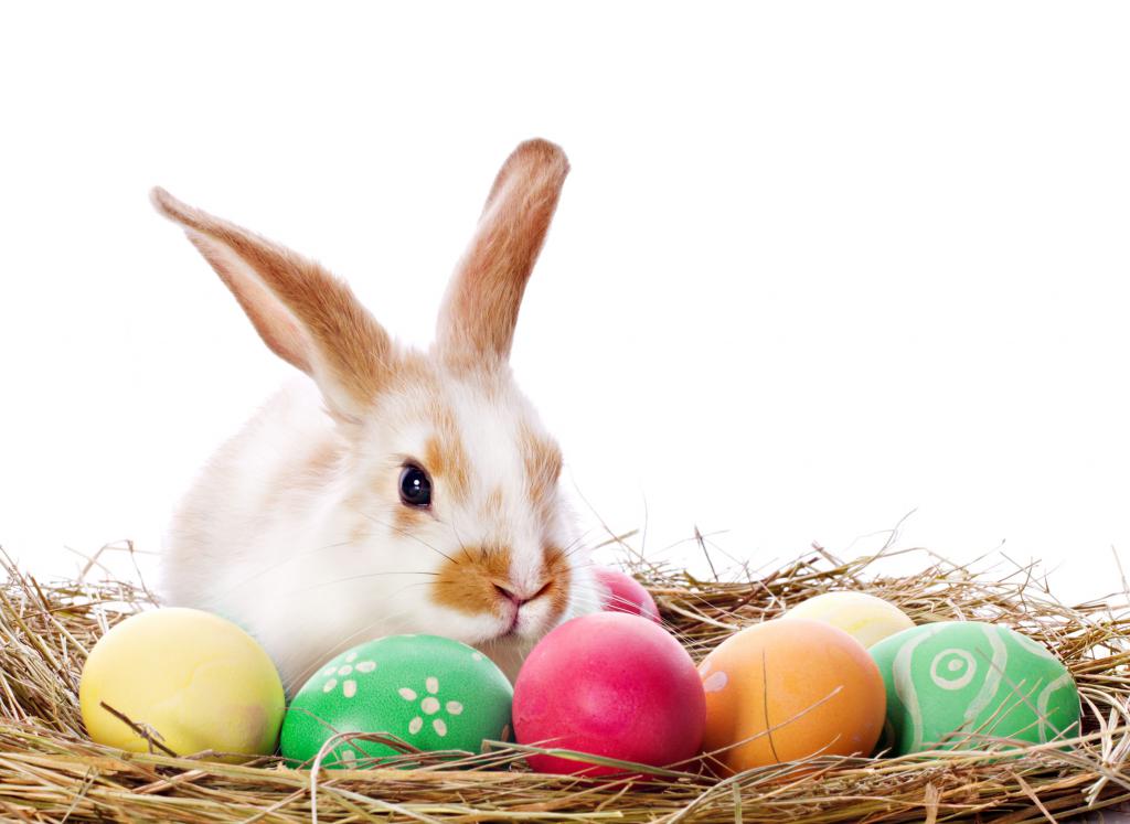 Lustige Ostergrüße Animiert Gif Bilder und Sprüche