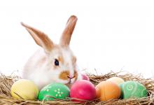 Bild von Lustige Frohe Ostern Wünsche bilder fürs handy