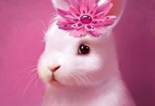 Bild von Lustige Ostern bilder fürs handy
