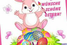 Bild von Lustige Ostersprüche Bilder fürs handy