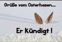 Bild von Lustige Osterwünsche bilder fürs handy