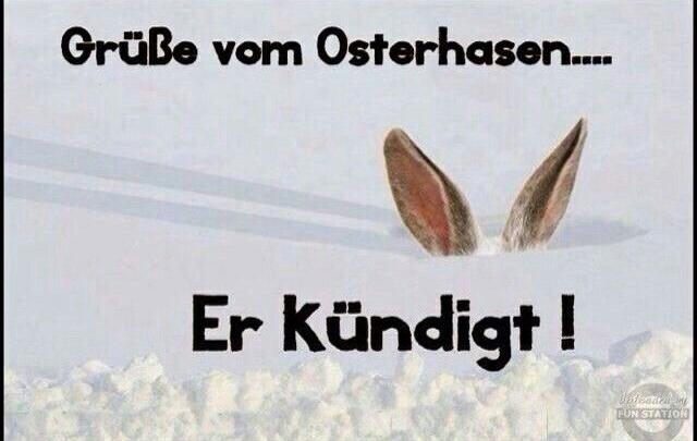 Lustige Osterwünsche Bilder und Sprüche