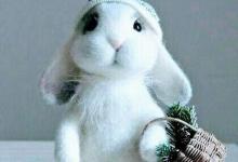 Bild von Orthodoxe Ostern bilder fürs handy