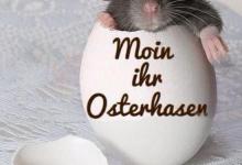 Bild von Ostergrüße Geschäftlich Vorlage bilder fürs handy