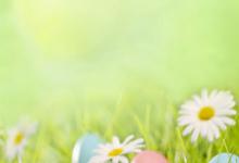 Bild von Ostergrüße Lustig bilder fürs handy