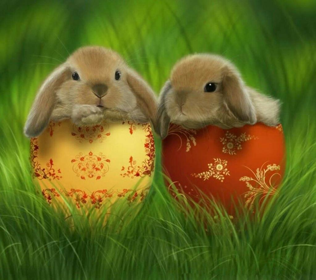Ostergrüße Witzige Bilder Bilder und Sprüche