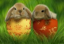 Bild von Ostergrüße Witzige Bilder fürs handy