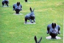 Bild von Ostern 2019 Grüße bilder fürs handy