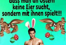 Bild von Ostern Spruch Lustig bilder fürs handy