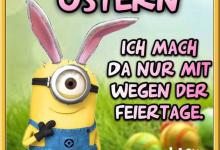 Bild von Ostern Witzig bilder fürs handy