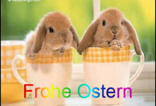 Bild von Ostern Wünsche Glückwünsche bilder fürs handy