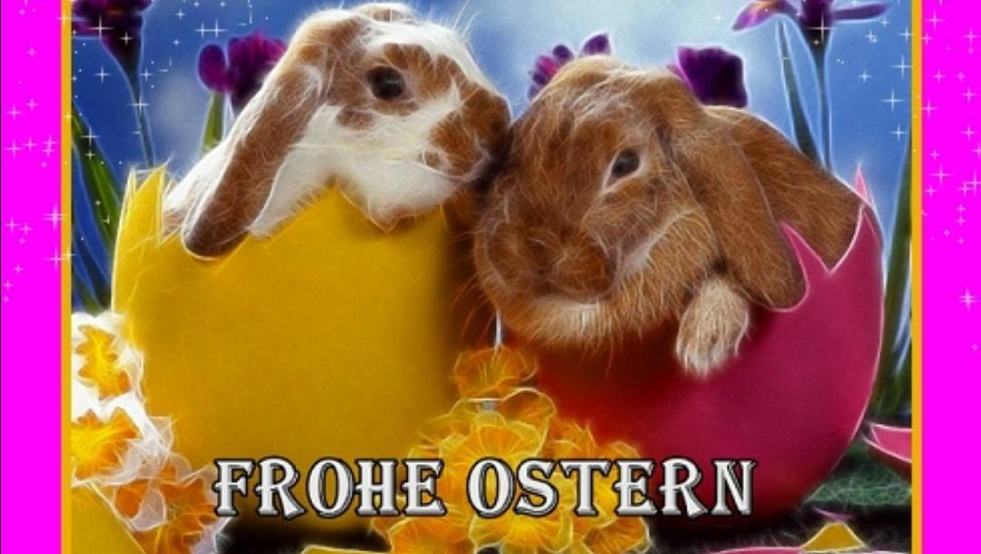 Ostern Spruch Lustig Bilder und Sprüche für Whatsapp und Facebook