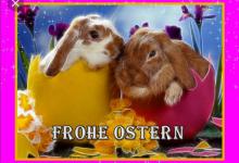 Bild von Ostern Wünsche Texte bilder fürs handy