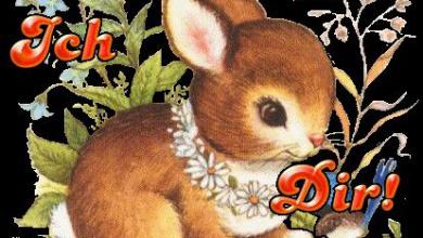 Ostern Spruch Lustig Bilder und Sprüche für Whatsapp und Facebook