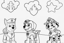 Bild von Paw Patrol Ausmalbilder fürs handy