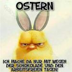 Spruch Ostern Witzig Bilder und Sprüche
