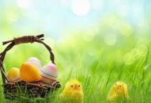 Bild von Whatsapp Ostergrüße bilder fürs handy