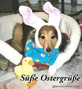 Witzige Ostergrüsse