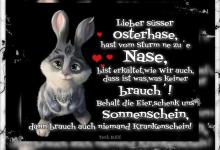 Bild von Witzige Ostergrüße Bilder fürs handy