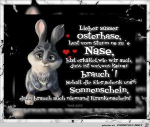 Witzige Ostergrüße Bilder