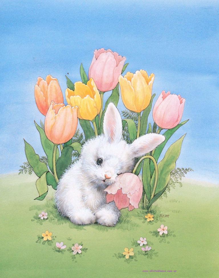 Witzige Ostersprüche Mit Bild