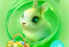 Bild von Witzige Osterwünsche bilder fürs handy