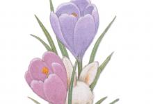 Bild von Witziges Zu Ostern bilder fürs handy