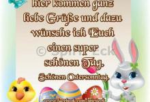 Bild von Wünsche Ostern bilder fürs handy