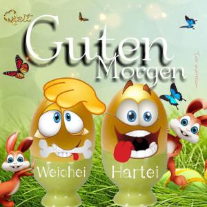 Zum Ostern Wünsche bilder fürs handy