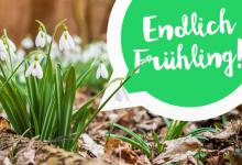 Bild von Endlich frühlingsanfang bilder fürs handy