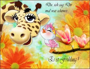 Es ist Frühling bilder fürs handy