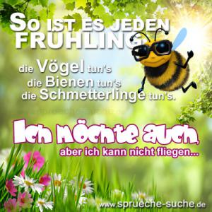 Frühling für whatsapp bilder fürs handy
