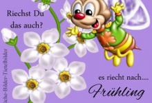 Bild von Frühlingsanfang sprüche lustig bilder fürs handy