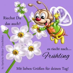 Frühlingsanfang sprüche lustig bilder fürs handy