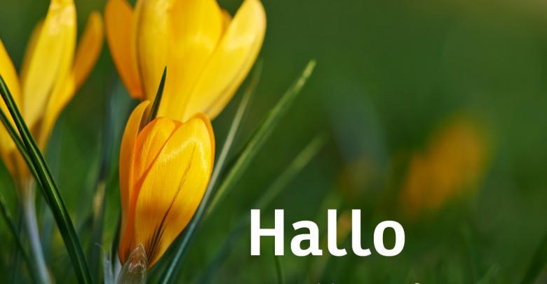 Hallo frühling bilder Bilder und Sprüche für Whatsapp und Facebook