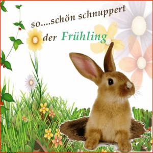 Schönen frühlingsanfang bilder fürs handy