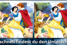Bild von Cinderella – Wie schnell entdeckst du den Unterschied? bilder fürs handy