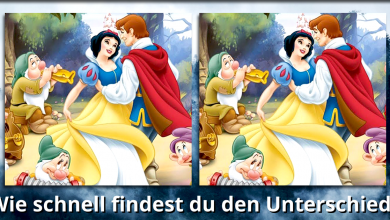 Bild von Cinderella – Wie schnell entdeckst du den Unterschied?