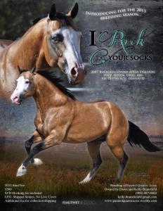 Belgier Pferd Kaufen 232x300 - Kleine Pferde Bilder Für Facebook
