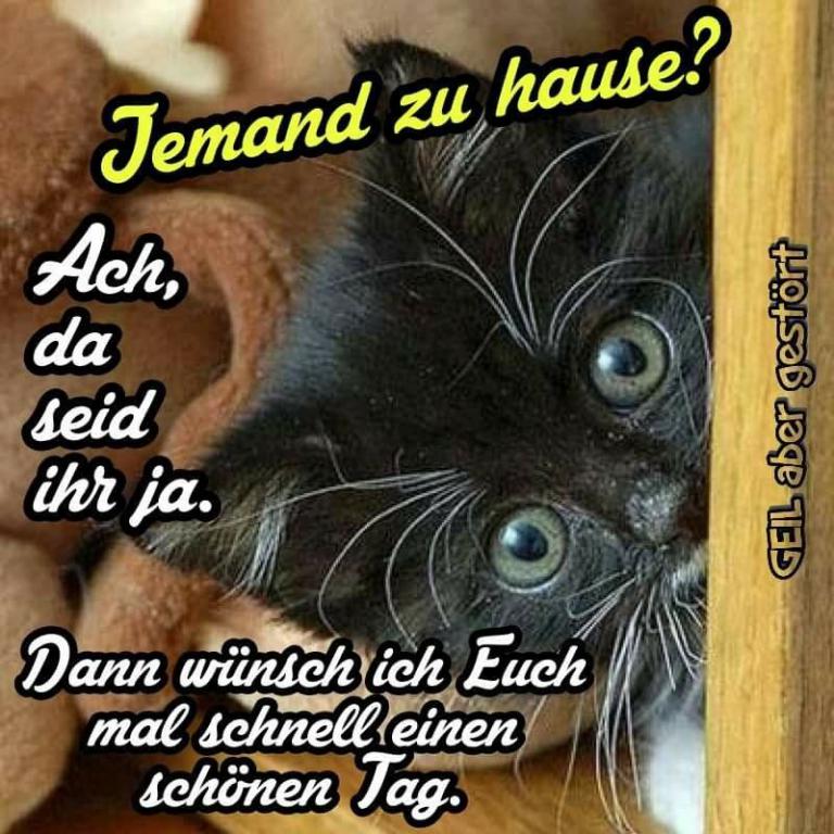 Guten Tag Sprüche Bilder Bilder und Sprüche