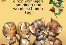 Bild von Ein Wunderschönen Tag bilder fürs handy