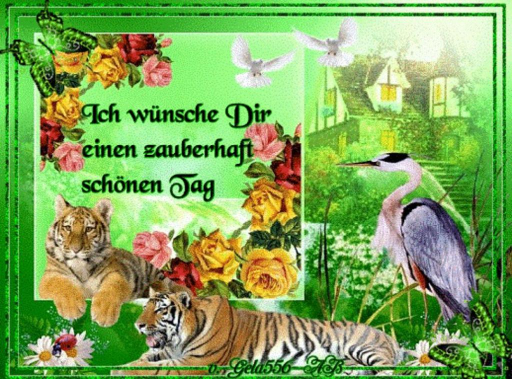 Wunderschönen Tag Bilder und Sprüche für Whatsapp und Facebook kostenlos