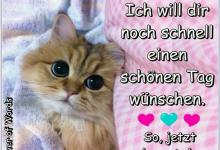 Bild von Einen Schönen Tag Für Whatsapp bilder fürs handy