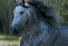 Bild von Fb9b71406cfb56c6d03d3777297ea9b3.Jpg bilder fürs handy