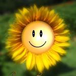 Genesungsw%C3%BCnsche Lustige Bilder 150x150 - Genesungswünsche Sprüche