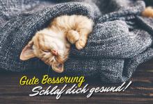 Bild von Genesungswünsche Arbeitskollegen bilder fürs handy