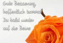 Bild von Genesungswünsche Kollege bilder fürs handy