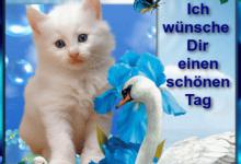 Bild von Guten Tag Wünsche bilder fürs handy