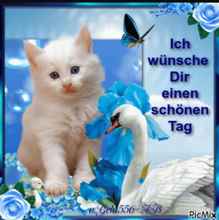 Guten Tag Wünsche
